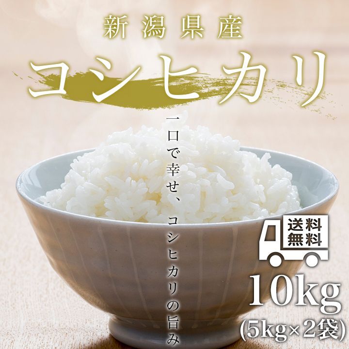 精米新潟県産 コシヒカリ 10kg 令和4年産