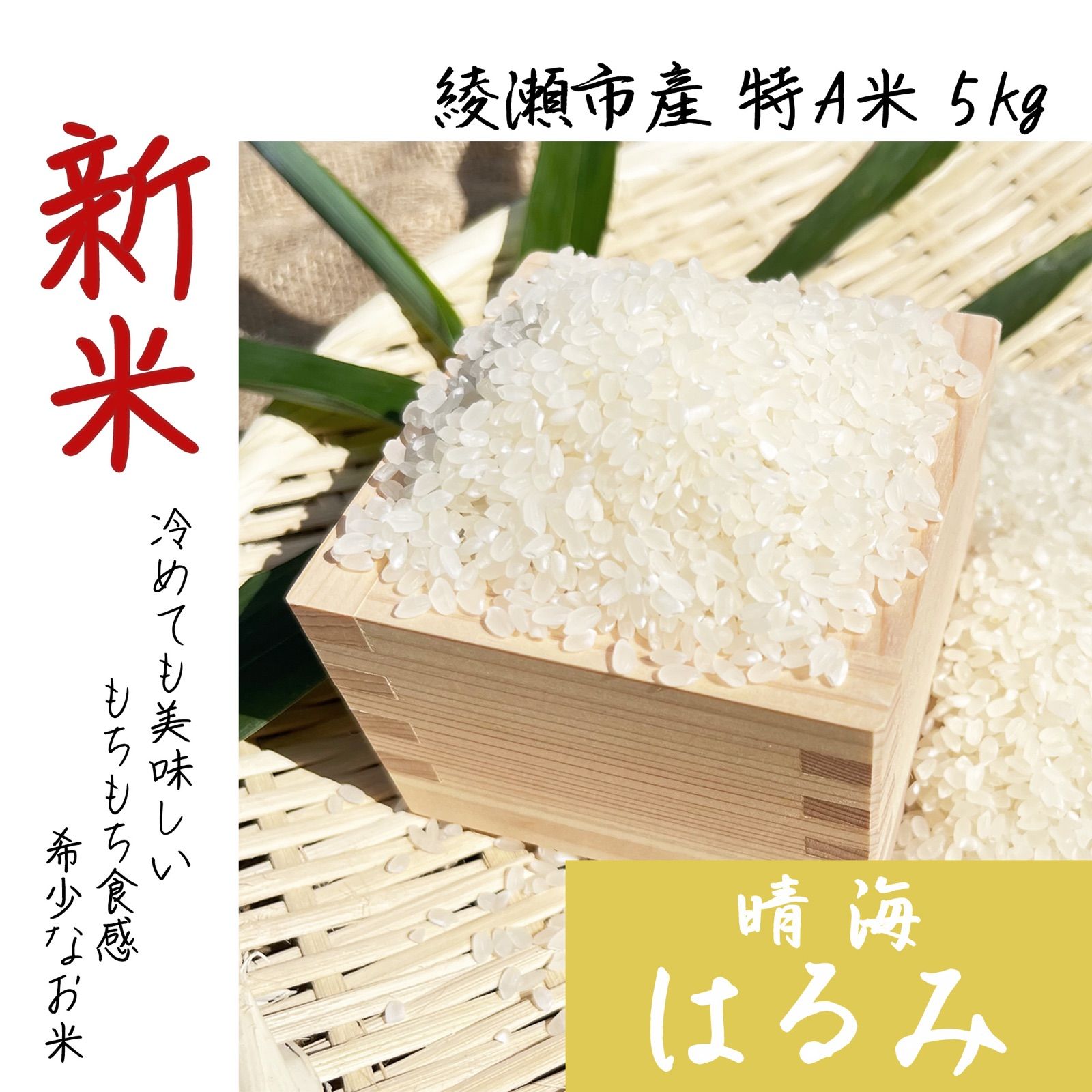 価格比較　神奈川県推奨米令和5年度産　新米5kg×2