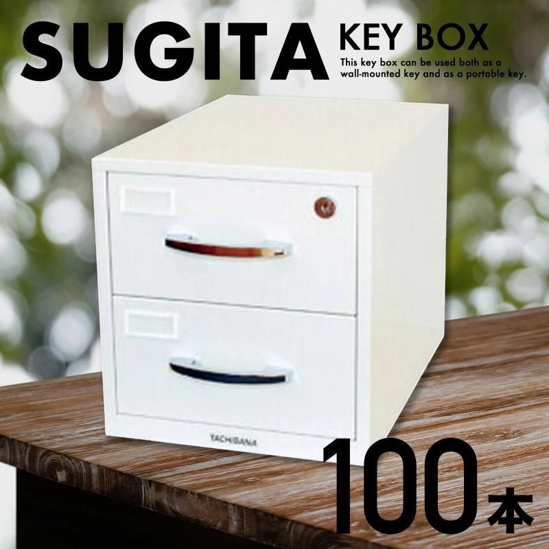 エースキーボックス 100本用 ホワイト D-100N 杉田エース キーボックス キーキャビネット 物件管理 キーステーション