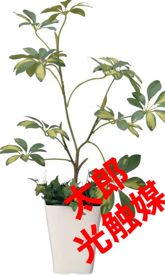 光触媒 人工観葉植物 ウォールグリーン フェイクグリーン シェフレラ ...