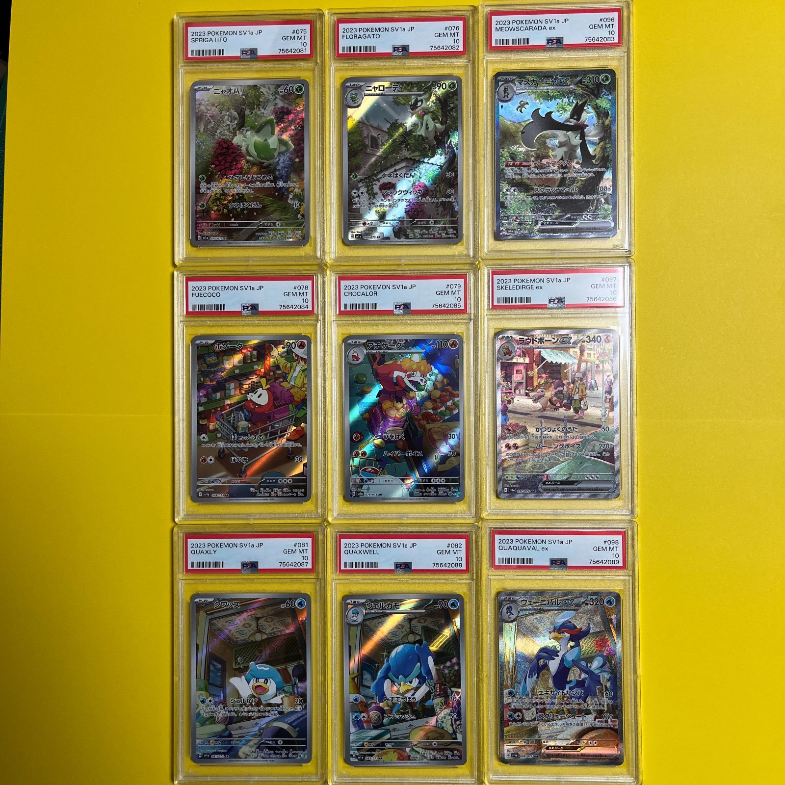 PSA10鑑定セット ポケモンカード マスカーニャex SAR進化ライン3連番