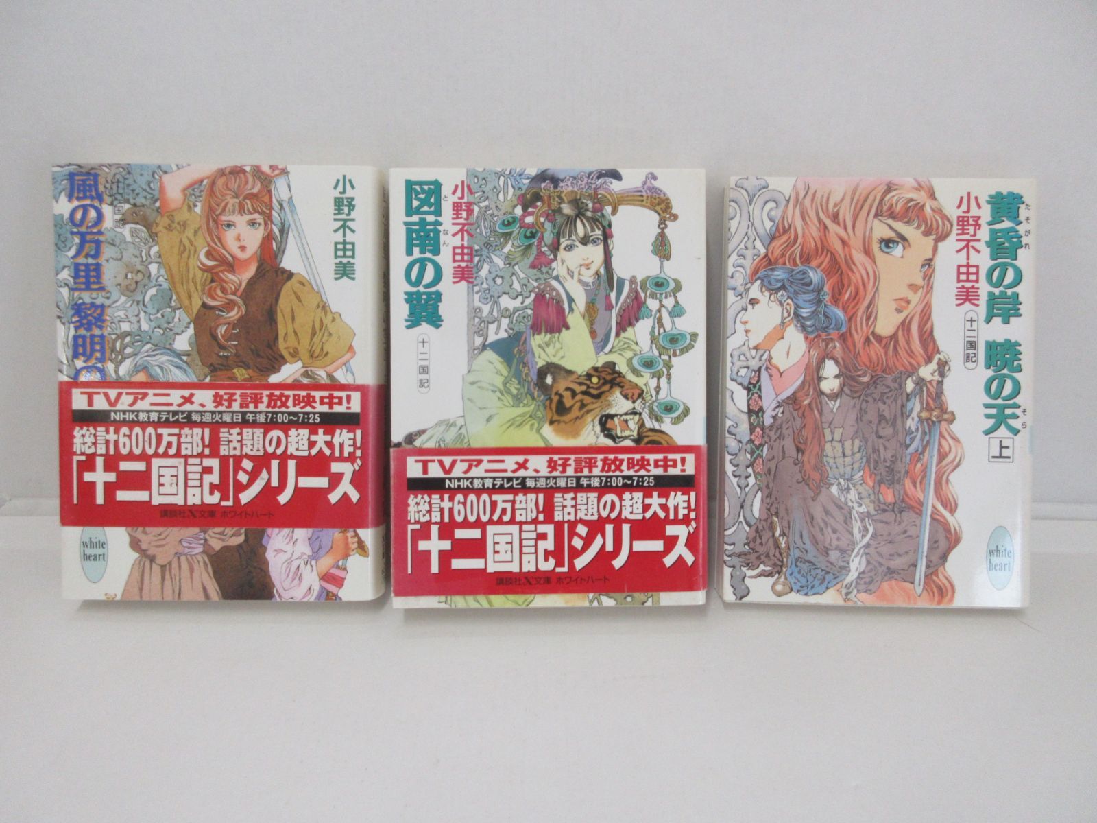 195-g 十二国記シリーズ 全11冊セット 小野 不由美 (著) - メルカリ