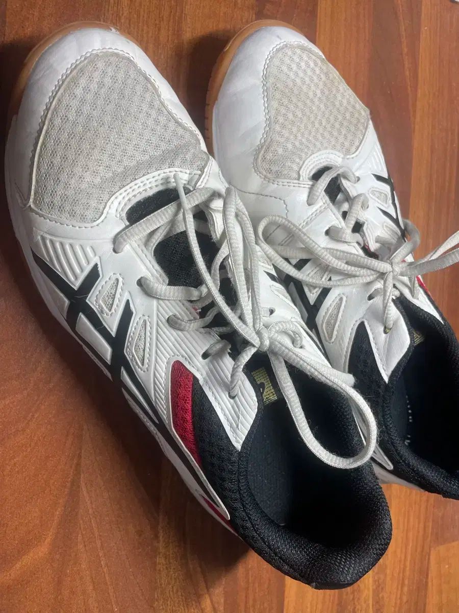 asics(アシックス) バレーボールシューズ 275