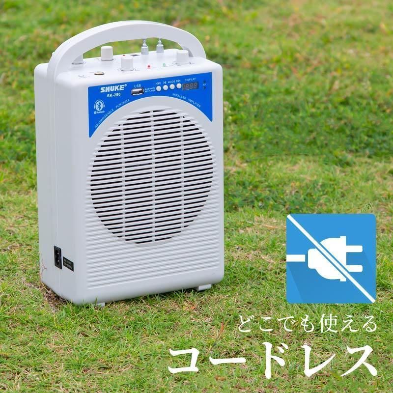 小型