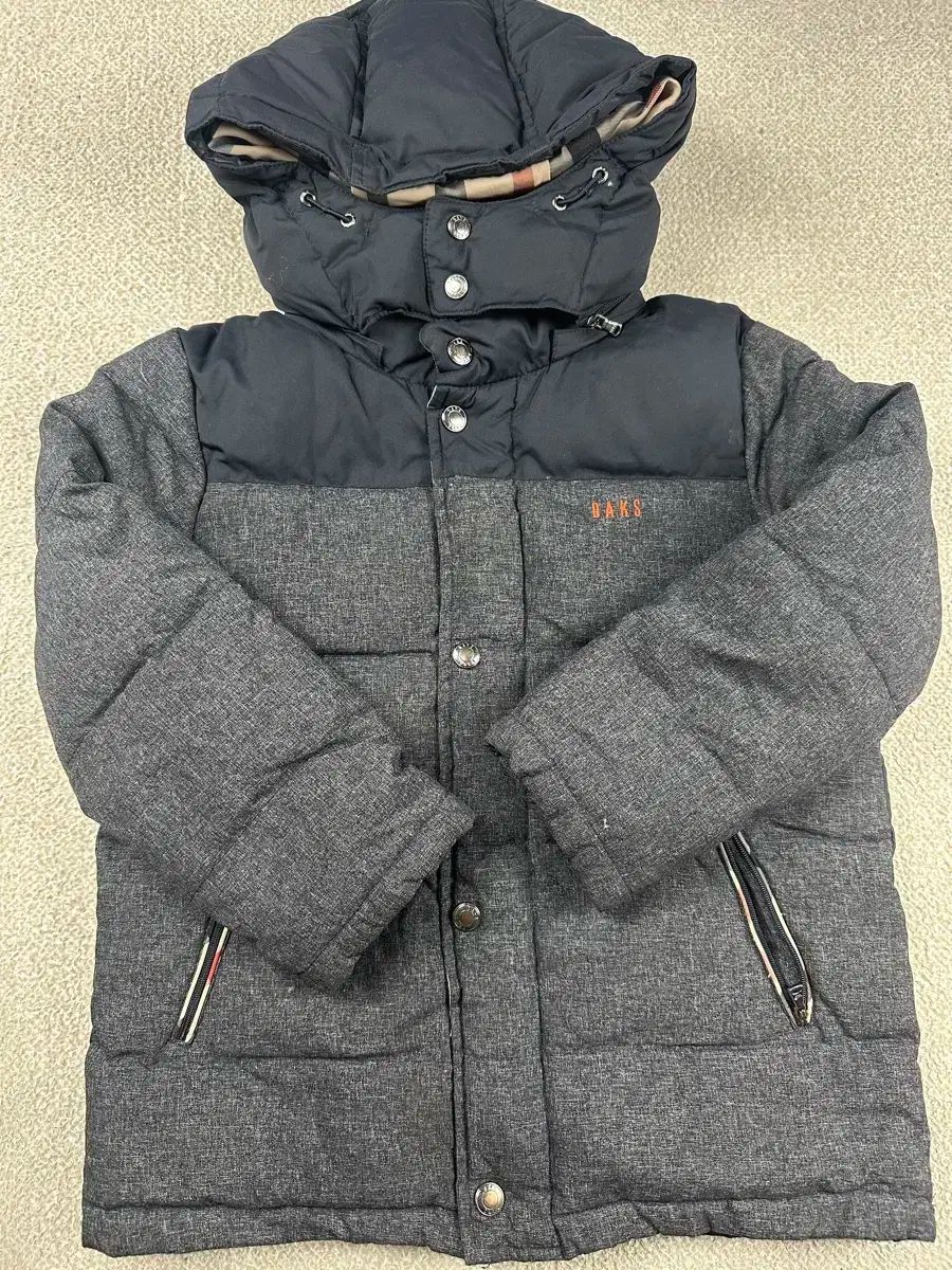 DAKS(ダックス) ダウン 120 ( 7y ) トゥイーン