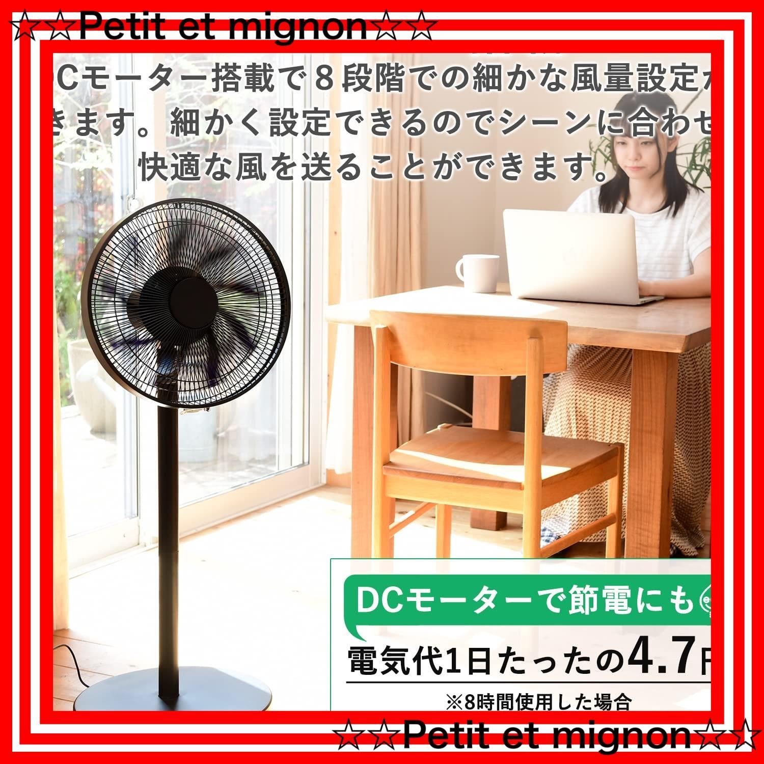 限定 [山善] 扇風機 リビング扇 コンパクト収納 左右自動首振り 風量8