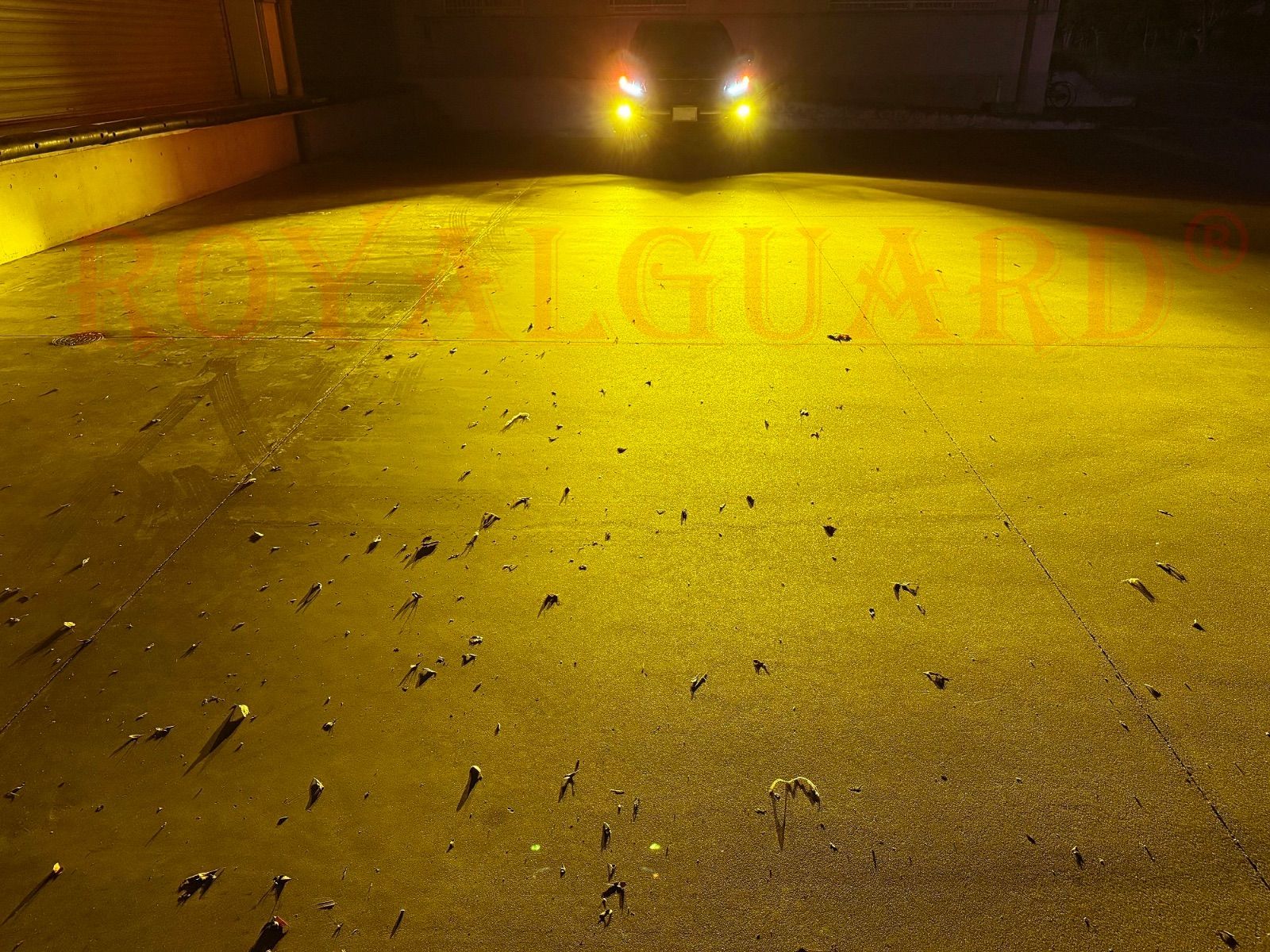 耐久性重視 大人の明るさ ロイヤルガード零 LEDフォグ H8 H11