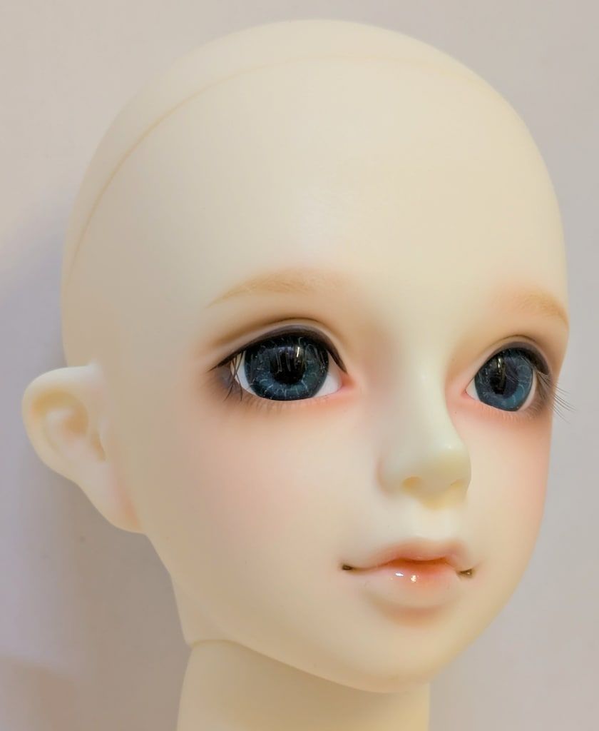 ボークス