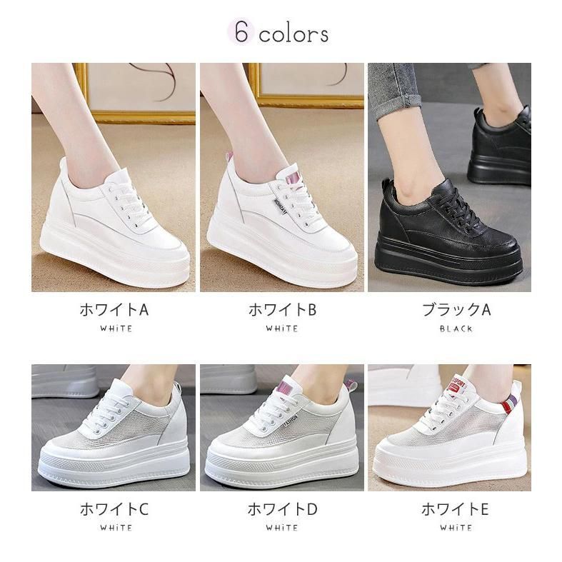 メッシュ