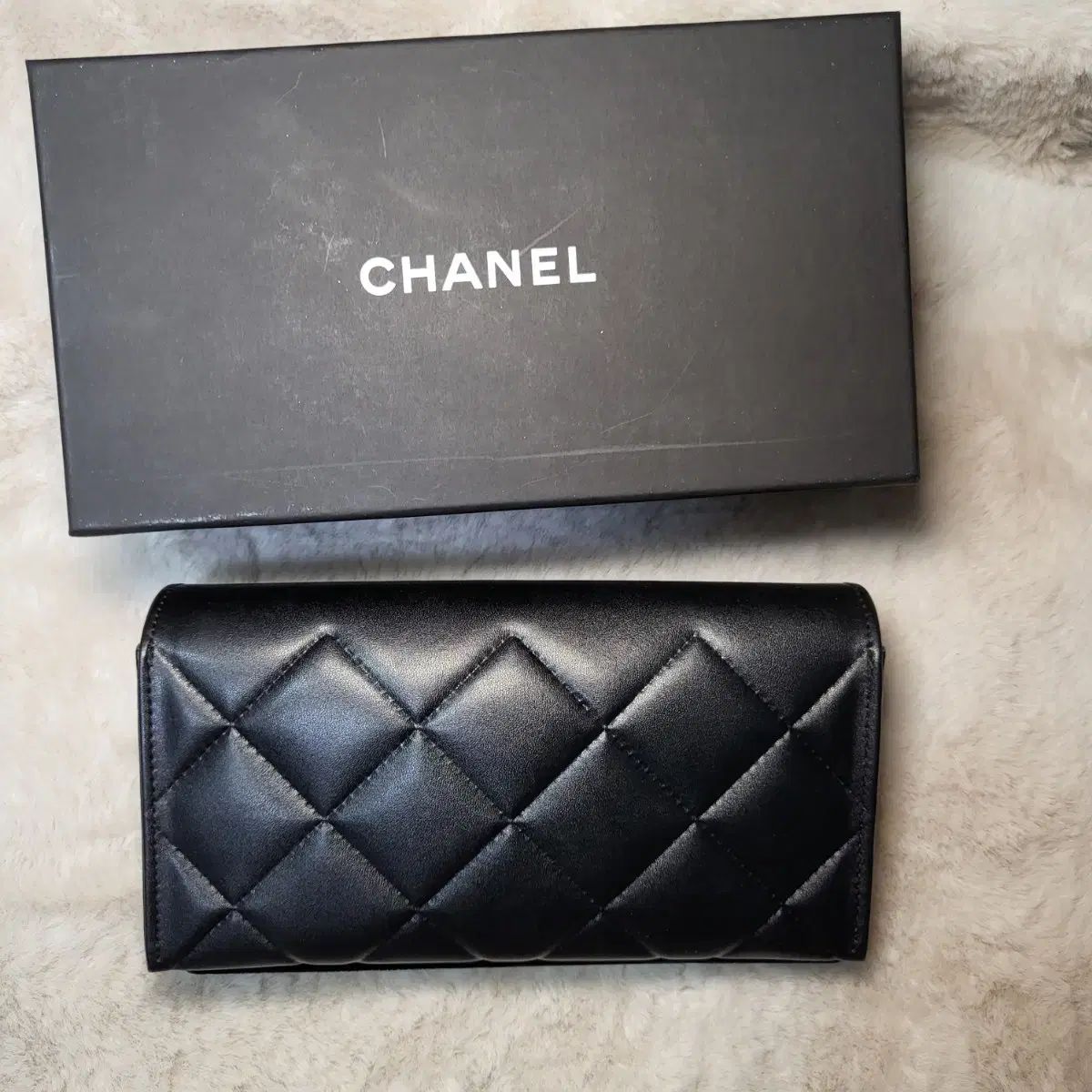 カメリア サングラス