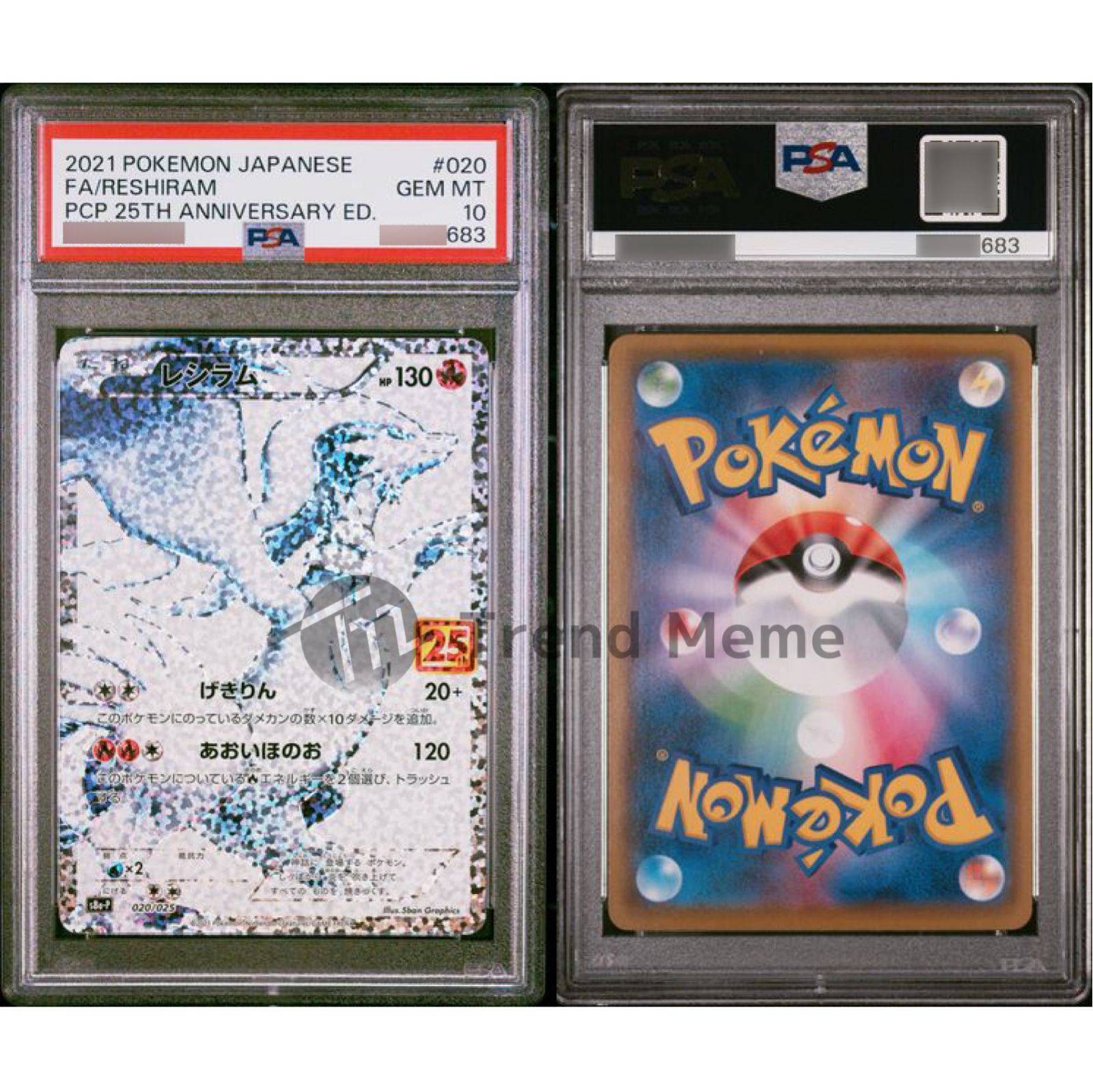 2連番】25thプロモ_レシラムゼクロム_PSA10_2枚セット_ワンオーナー品_