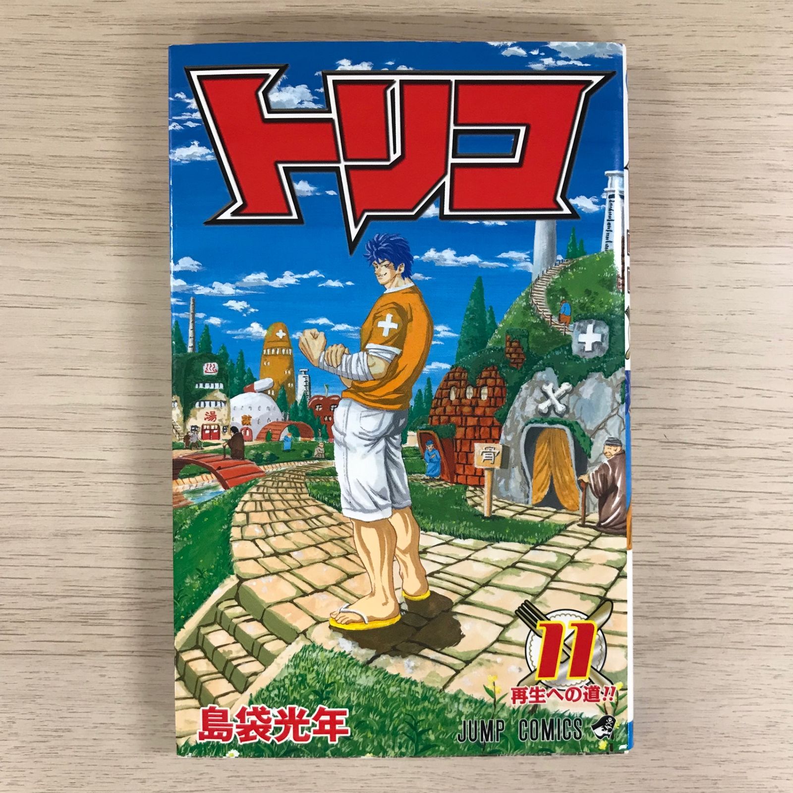 トリコ　ココ　缶バッジ　島袋光年 トリコ】15周年限定缶バッジ(全6種): 雑貨｜東映アニメーション