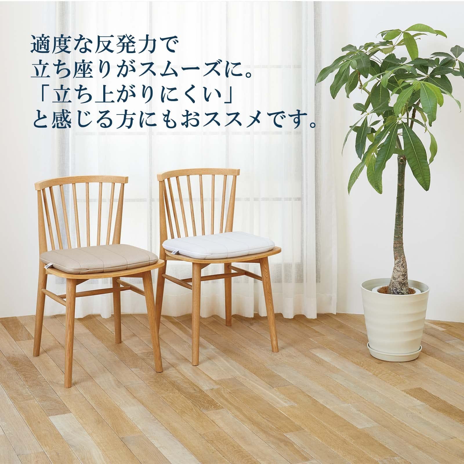 phyxsiusさん専用 新着商品】4-257011-GY-1 デスクワーク 洗える 約幅39cm×長さ