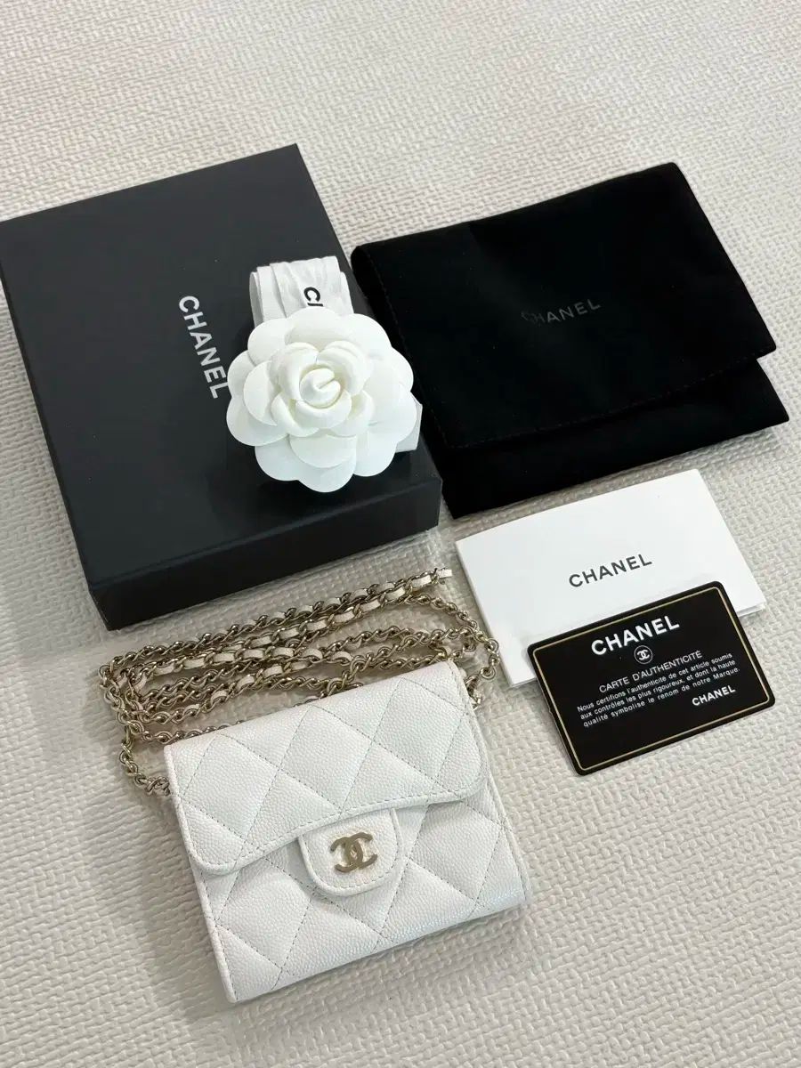 Chanel シャネル キャビア チェーン 財布 ミニバッグ ホワイト AP0238