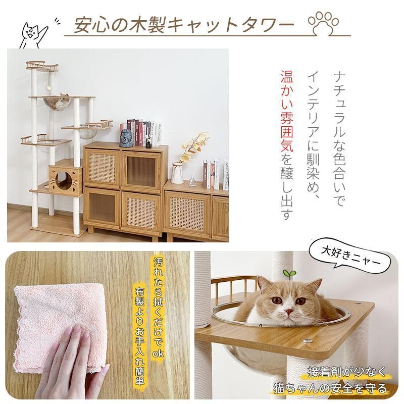 展望台 猫ハウス