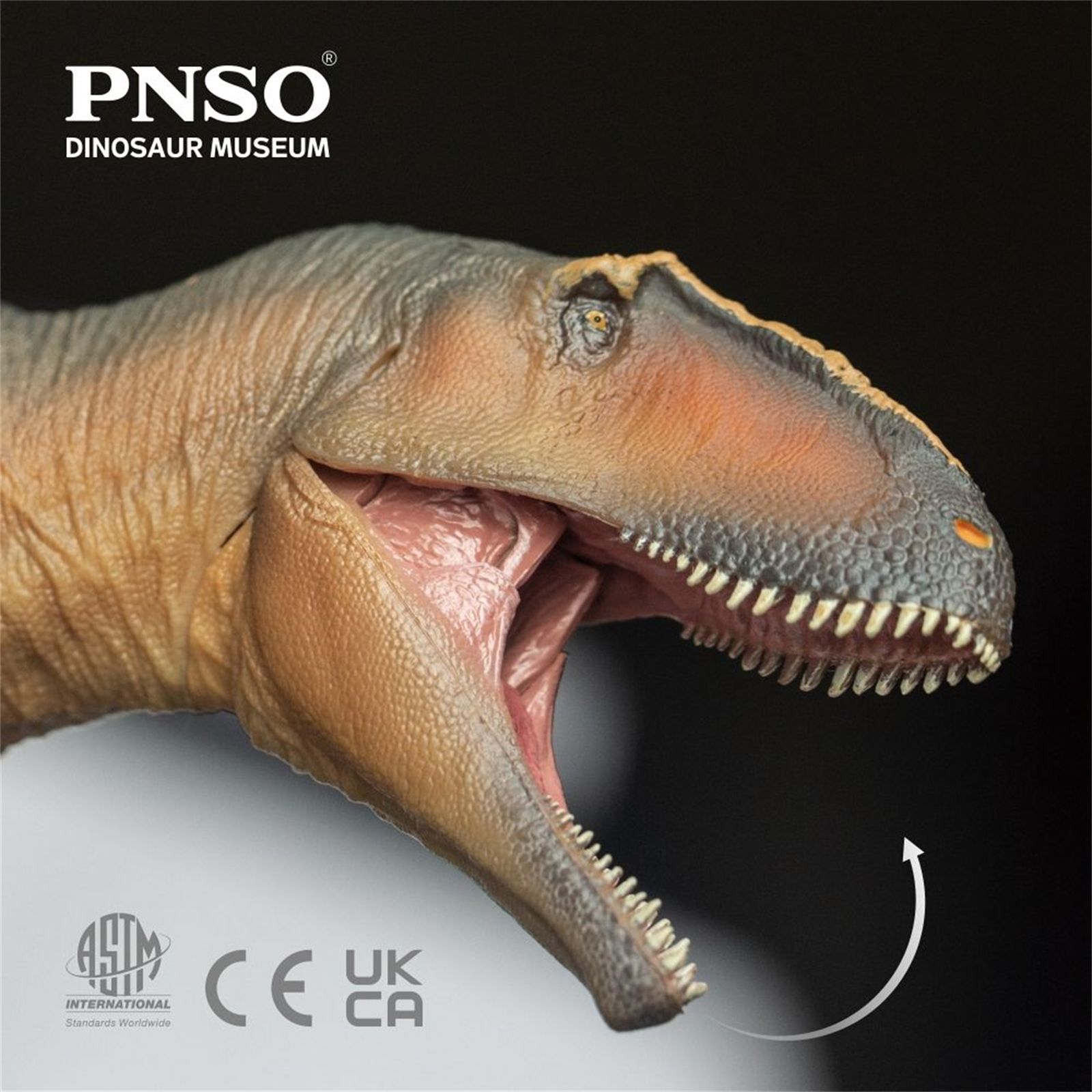 PNSO NEW 1/35 サイズ ギガノトサウルス 大きい 肉食 恐竜 リアル