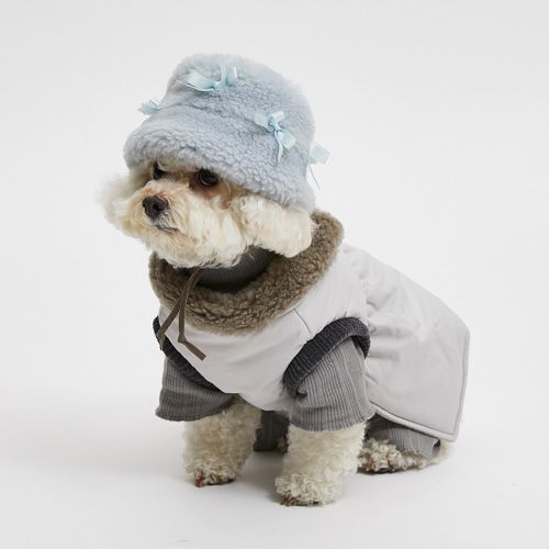 louisdog