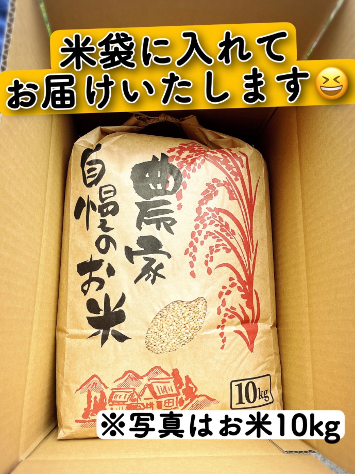 名入れ無料 コシヒカリ10kg 滋賀県産 コシヒカリ100 令和5年産 令和5年