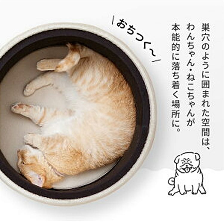 ナチュラル