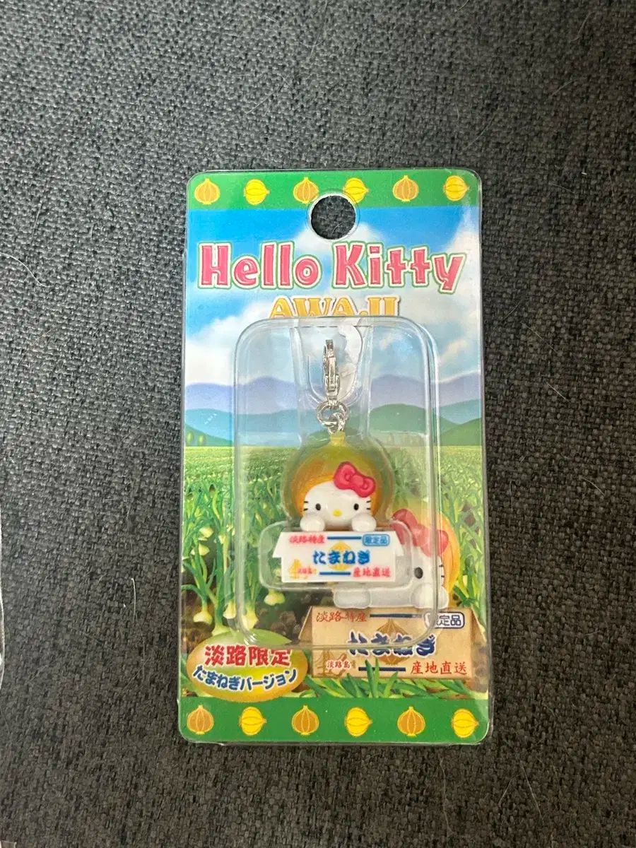 超レア⭐️2001年⭐️トロピカル⭐️浮き輪キティのストラップ 超レア⭐️2001年⭐️トロピカル⭐️浮き輪キティのストラップ