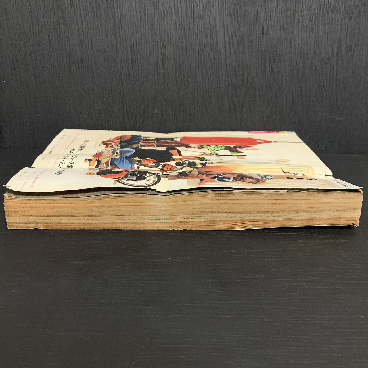 ジャンク☆少年ジャンプ1981年45号新連載「ストップ！！ひばり