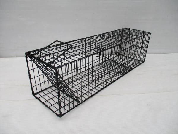 5営業日で発送 コンパル ｺﾝﾊﾟﾙ ｽｰﾊﾟｰ捕獲器 L ﾌﾞﾗｯｸ