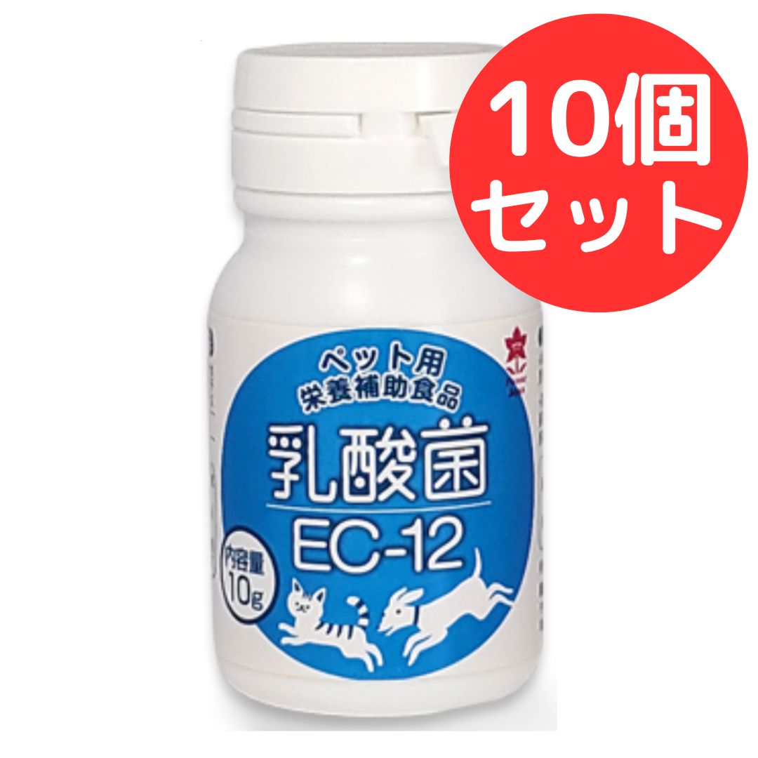 プランシュール 乳酸菌EC-12 10g 10個セット