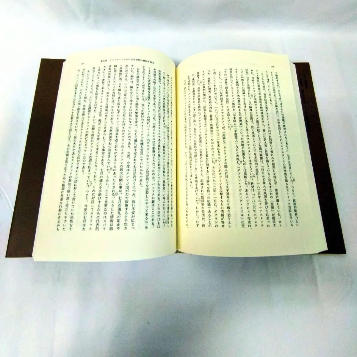 【中古】 信仰と他者 寛容と不寛容のヨーロッパ宗教社会史/東京大学出版会/深沢克己 信仰と他者 - 東京大学出版会