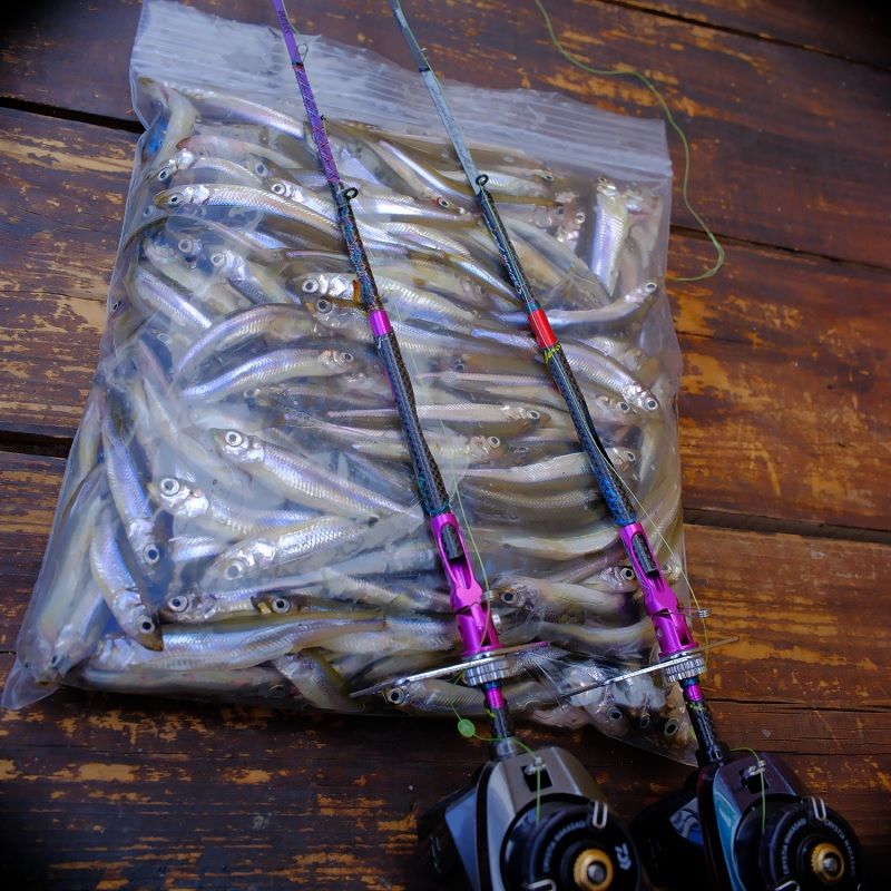 桧原MAX 可変ソケット改