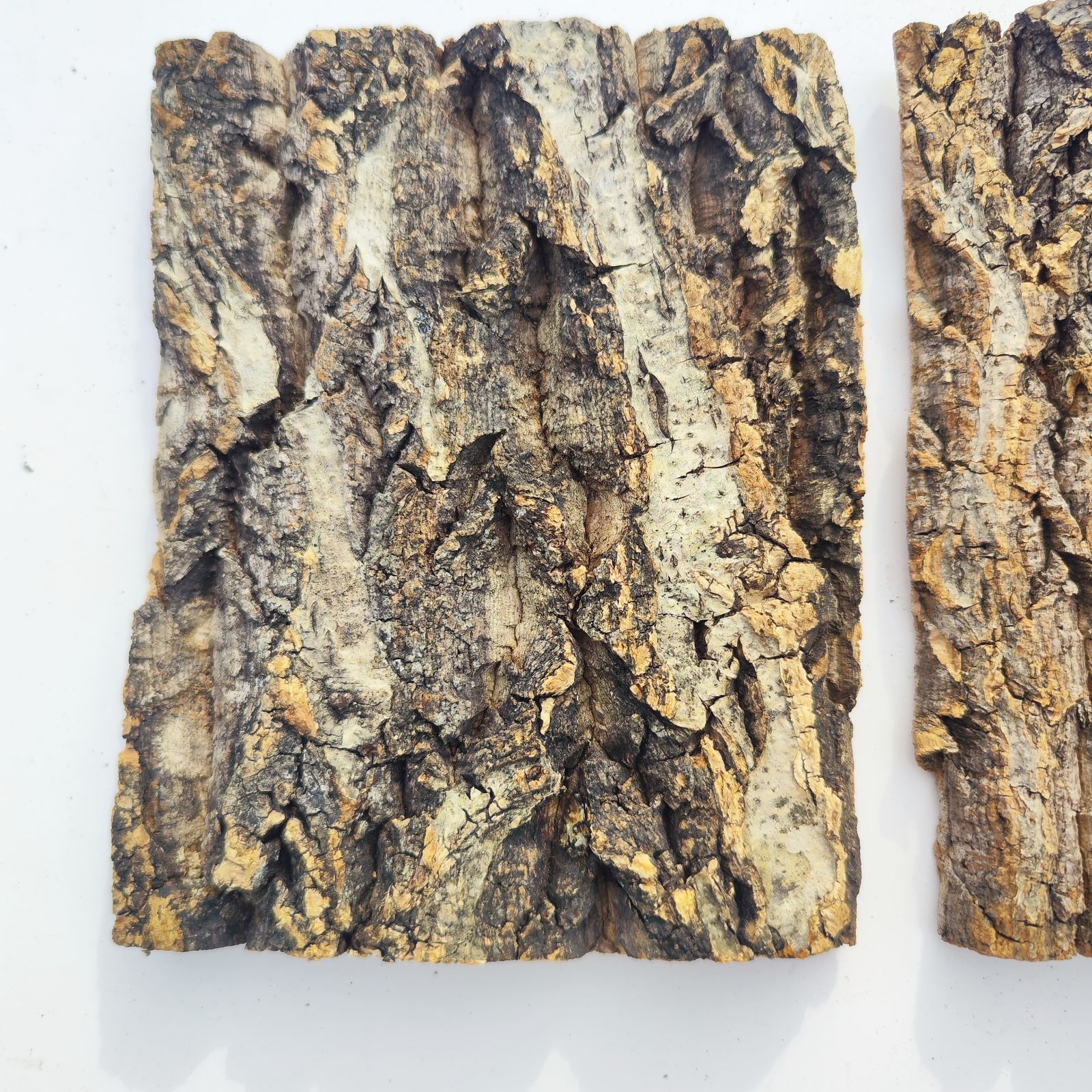 D17 ポルトガル産 キャノンコルク コルク樹皮 コルク板 バージンコルク