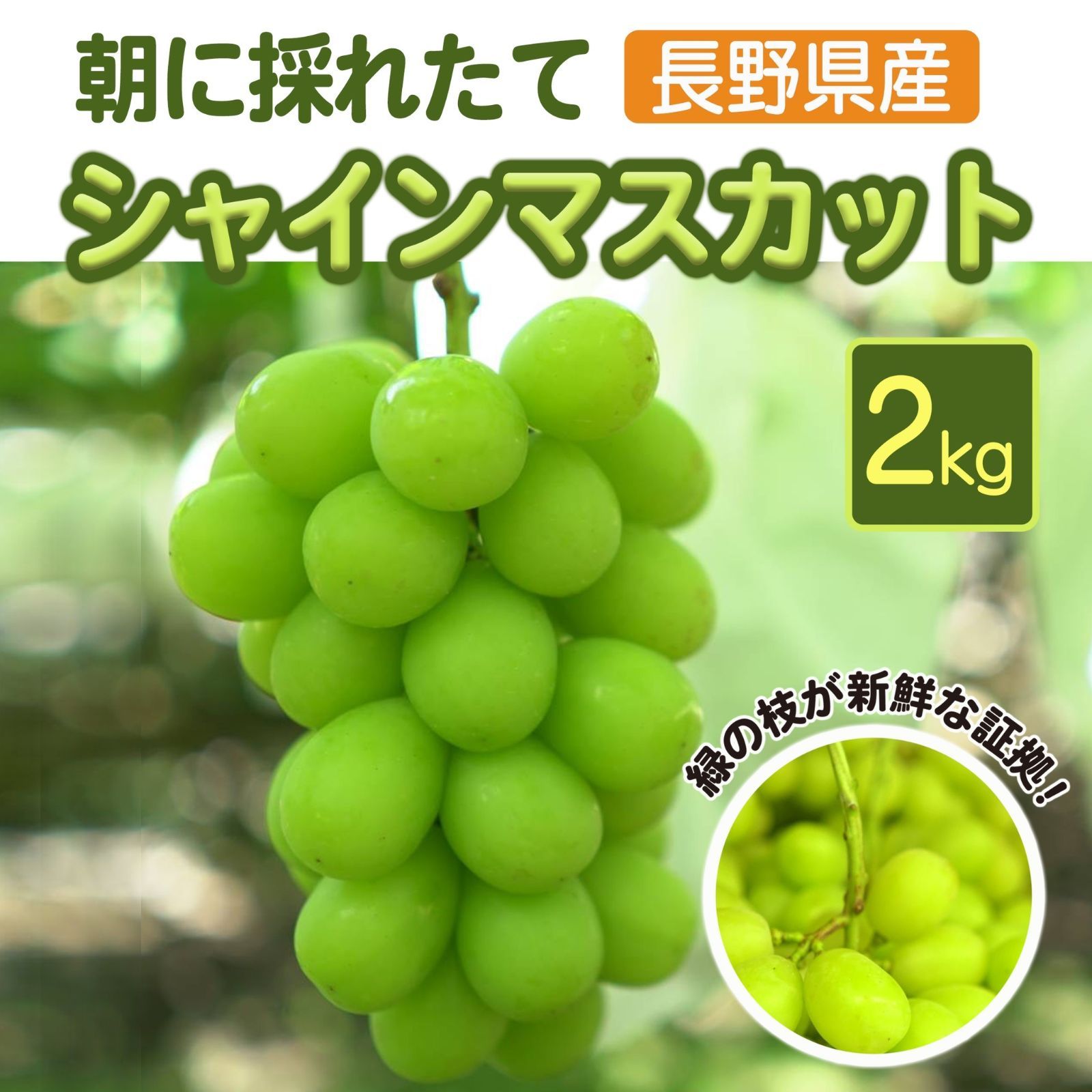 長野県産 朝採り シャインマスカット 2キロ 4房〜5房