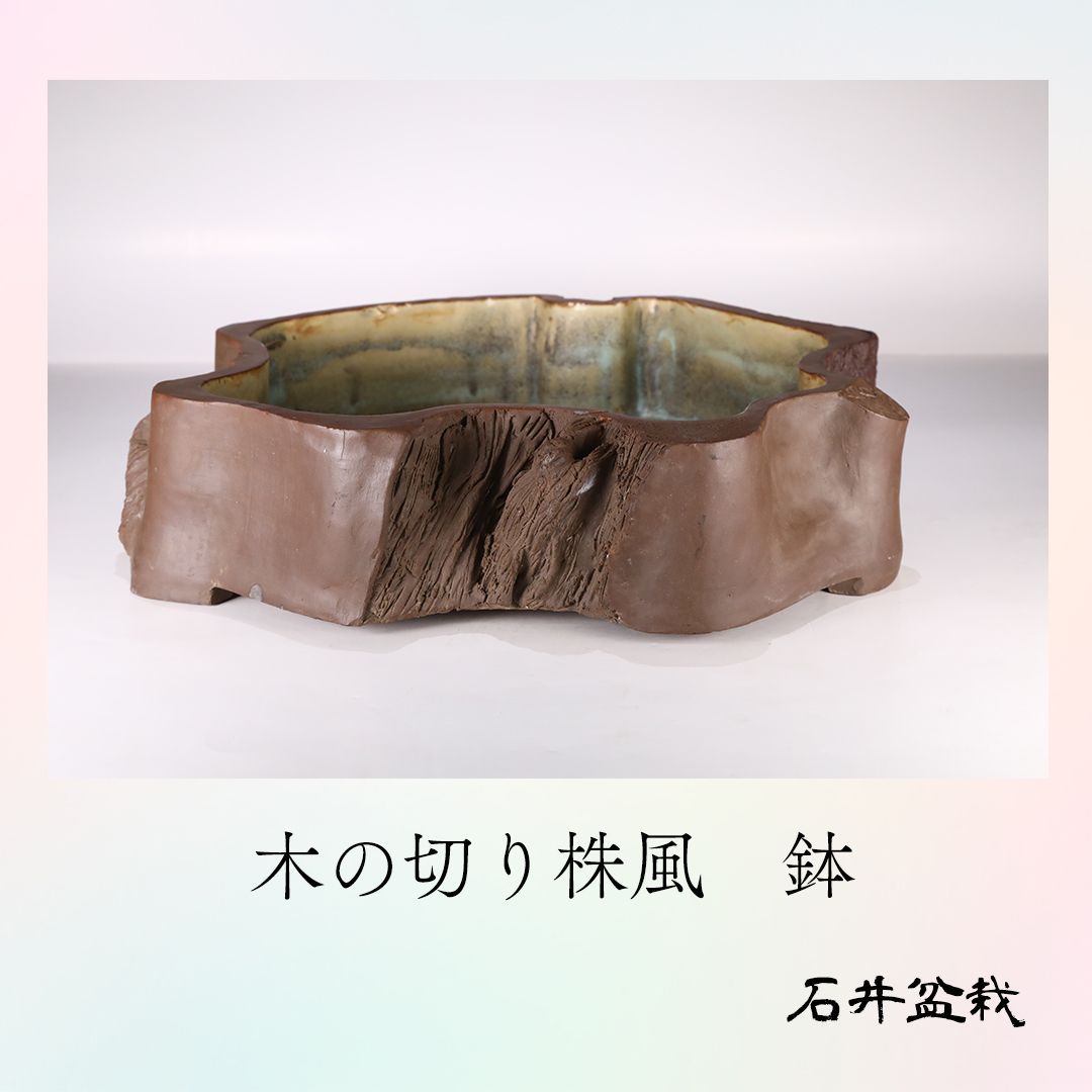 石井盆栽 木の切株風 鉢 オシャレ かわいい p-023