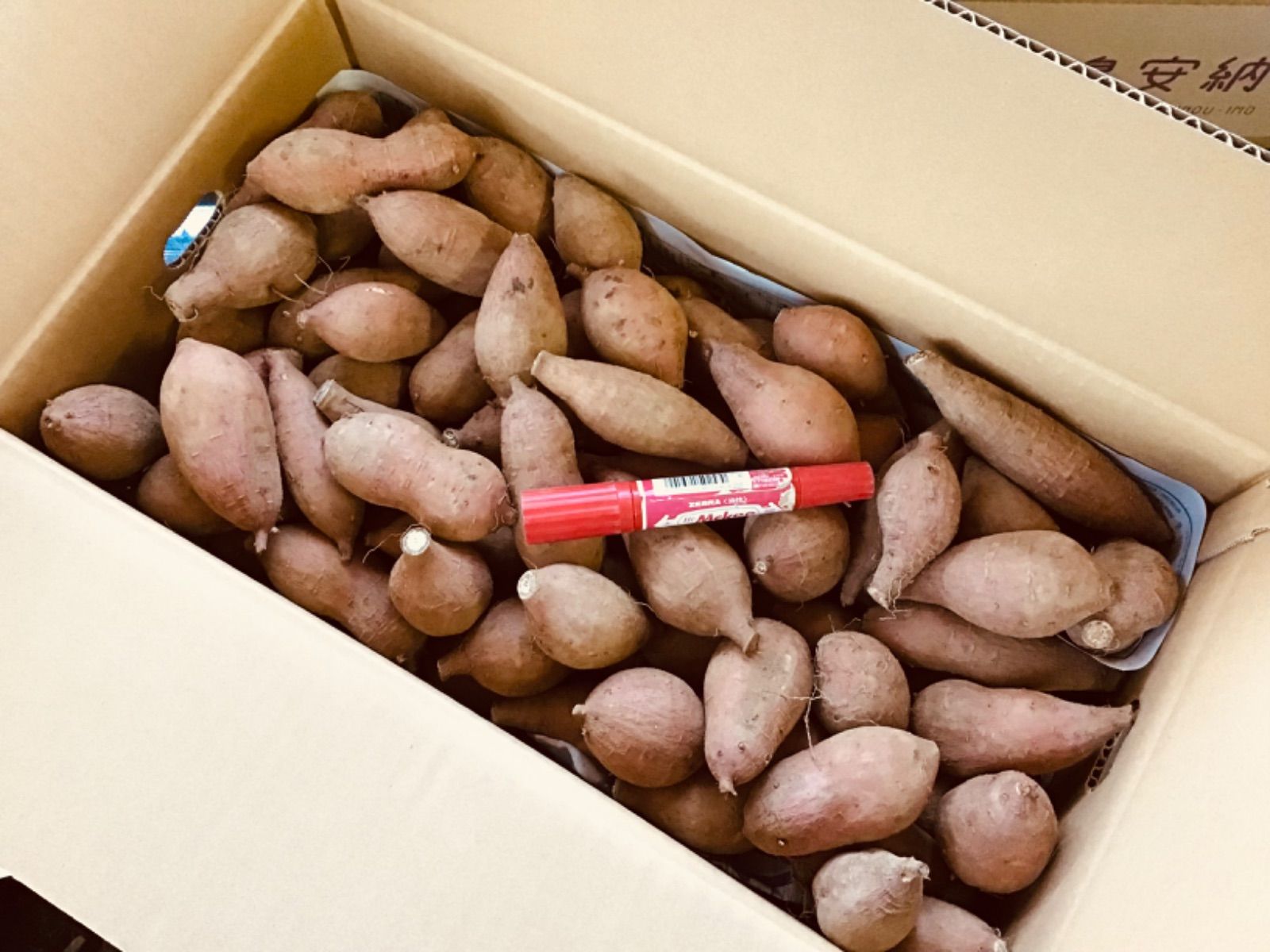 安納芋種子島産 2sサイズ20kg どんと どうぞ さつまいも 2 WWW_SMP1DAWEKUDUS_SCH_ID