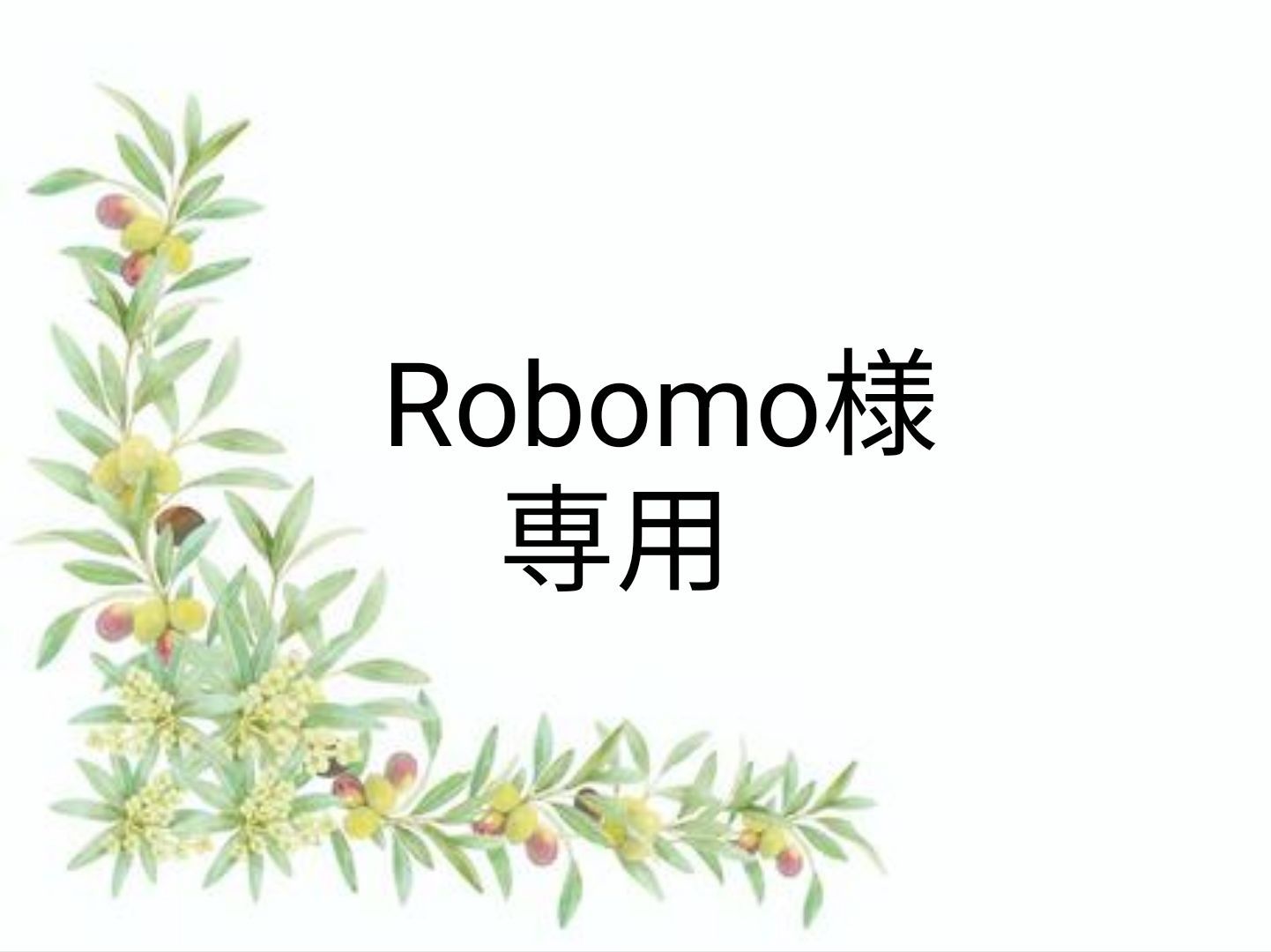 専用SWAROVSKI スワロフスキー #6744、#6261 、#6240
