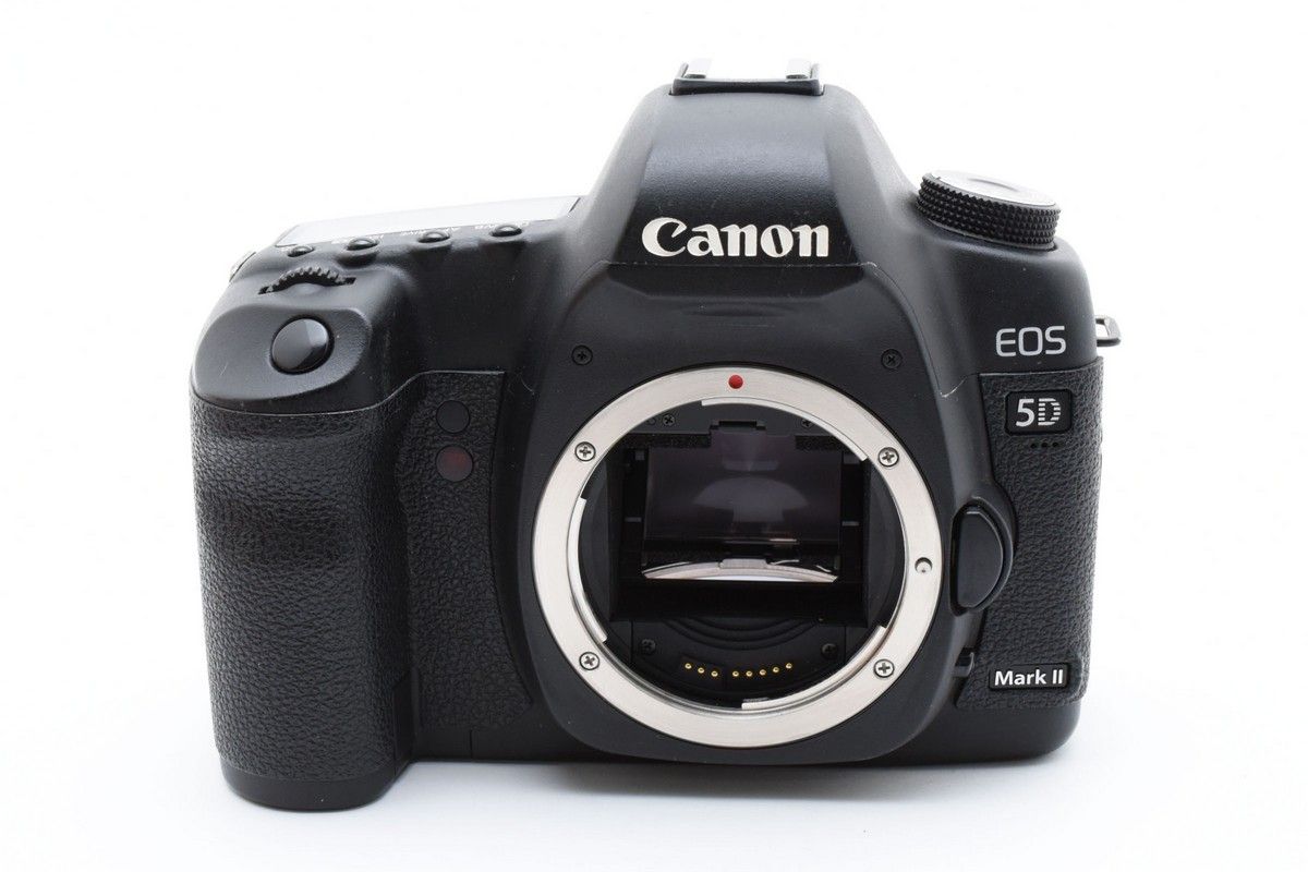 5D