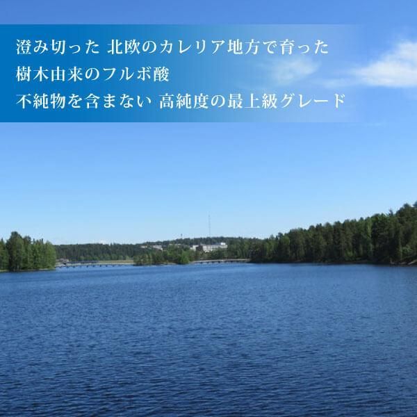 高還元力 酸化ストレスから保護