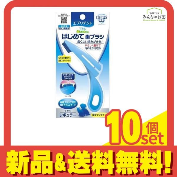 エブリデント はじめて歯ブラシ 愛犬・愛猫用 1本 (レギュラー) 10個セット まとめ売り