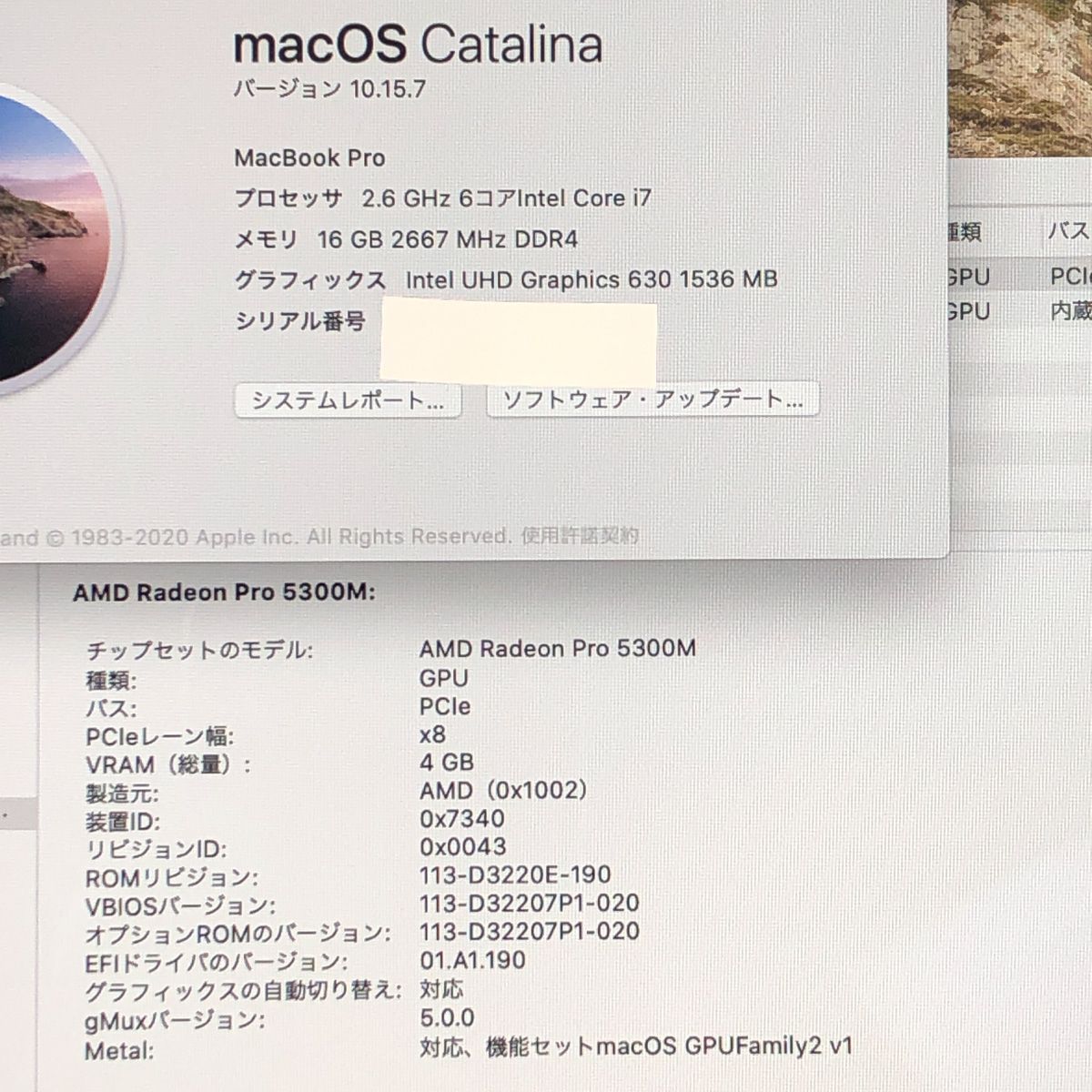 ◇ジャンク品・本体のみ◇Apple MacBook Pro (16インチ 2019