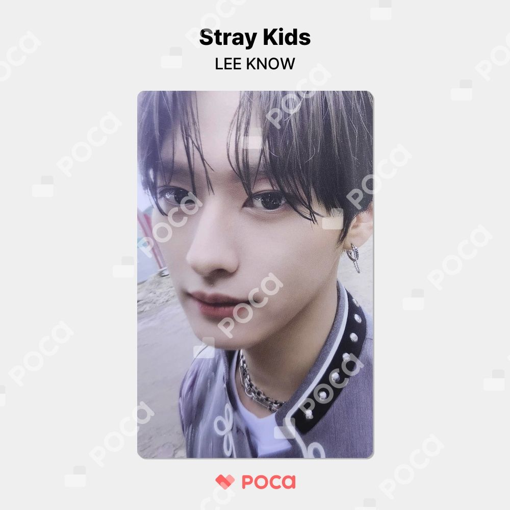 straykids リノ】スキズ IN生 IN LIFE STANDARD VER. 公式