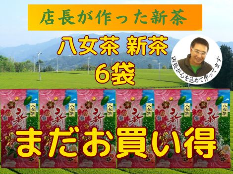 全国 送料無料 健康 一番茶 日本茶 煎茶 緑茶 新茶 特上煎茶 八女茶 