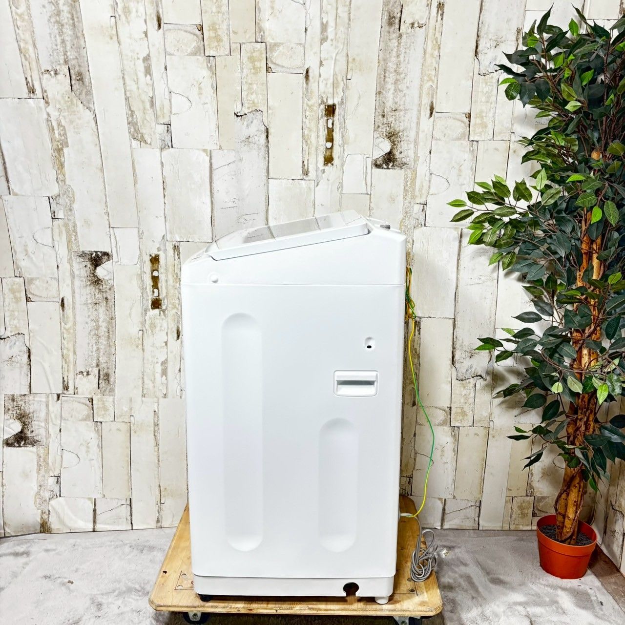 高年式】SHARP シャープ 全自動洗濯機 ES-TX8H 2024年製（SHARP