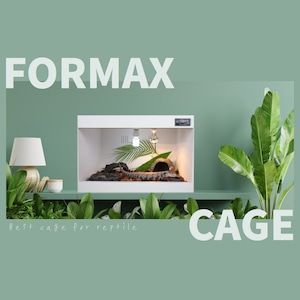 Red in フォルマックス爬虫類ケージ飼育場 M サイズ (60cm