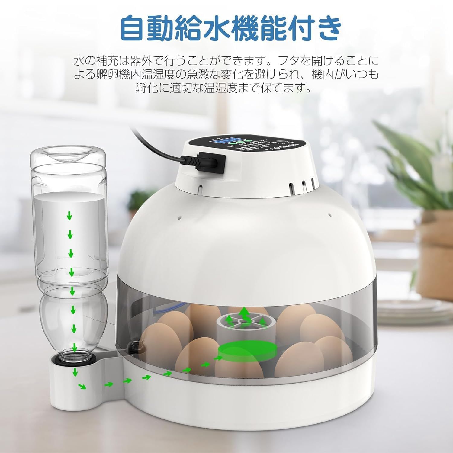 アヒル 自動転卵式