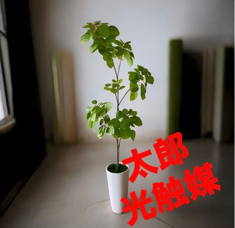 光触媒 人工観葉植物 ウォールグリーン フェイクグリーン ナンキンハゼ@ajmd