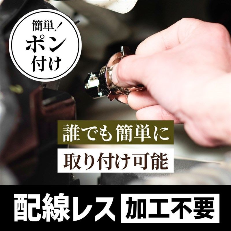 2本