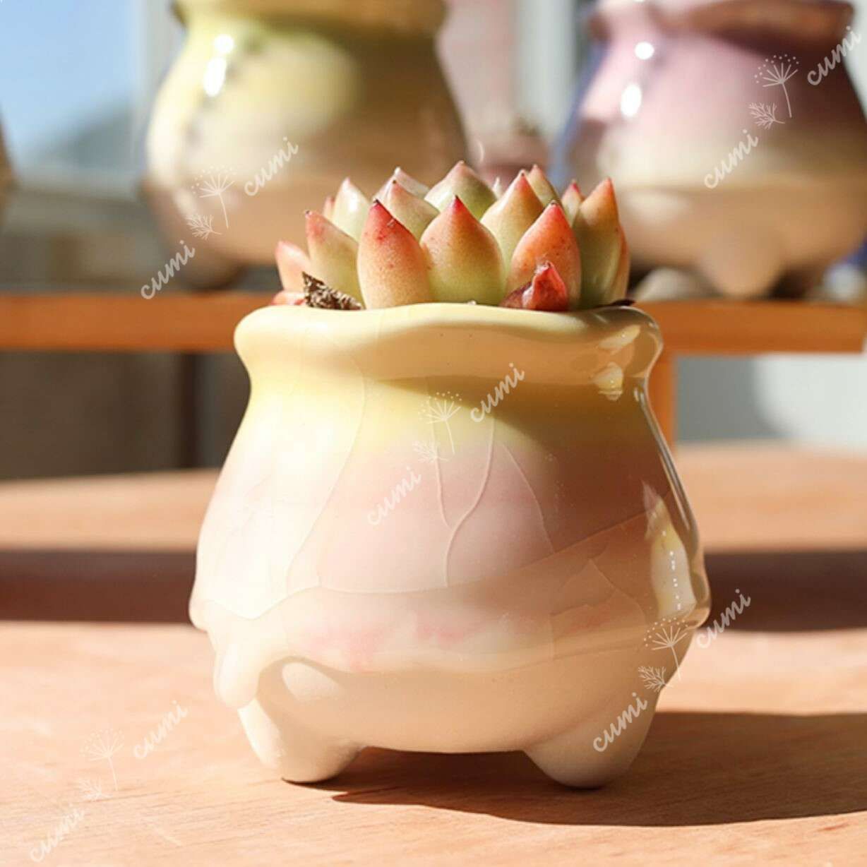 陶器鉢