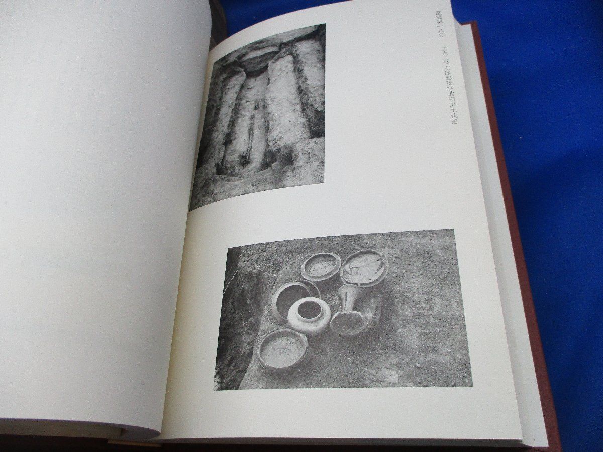 【予約受付開始】 新沢千塚古墳群 奈良県史跡名勝天然記念物調査報告 第39冊 奈良県立橿原考古学研 サマーセール！