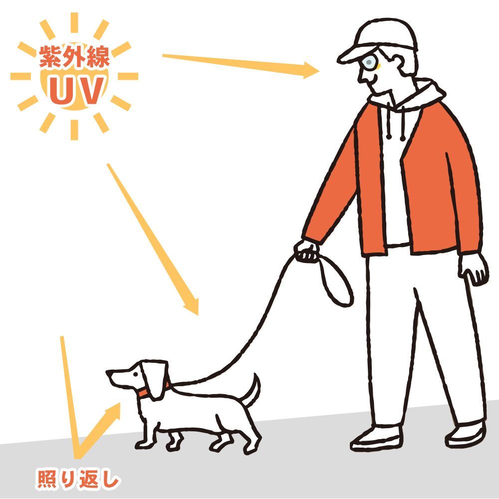 犬用 サングラス
