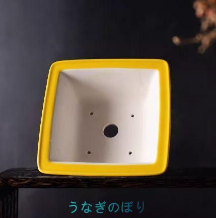 盆栽鉢 植木鉢 小品盆栽鉢 大品盆栽鉢 大四方の盆 盆栽鉢