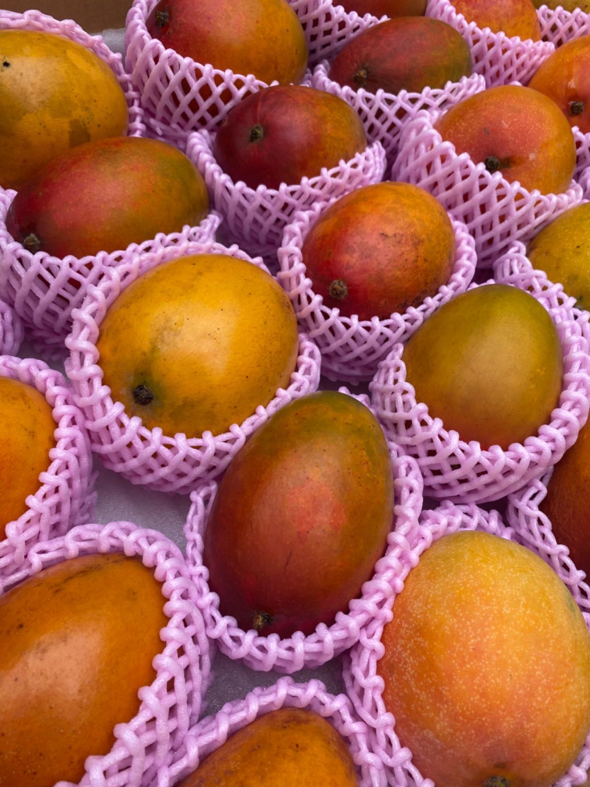 9.1k 理解ある方のみ